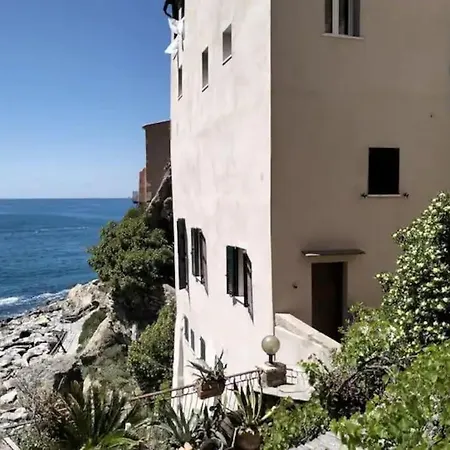 Il Paradiso Perduto Nel Golfo Dei Poeti * Tellaro